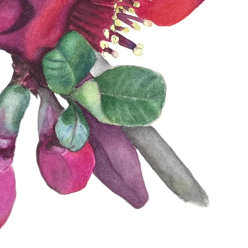 Detail 2 from Beauty in the Bloom