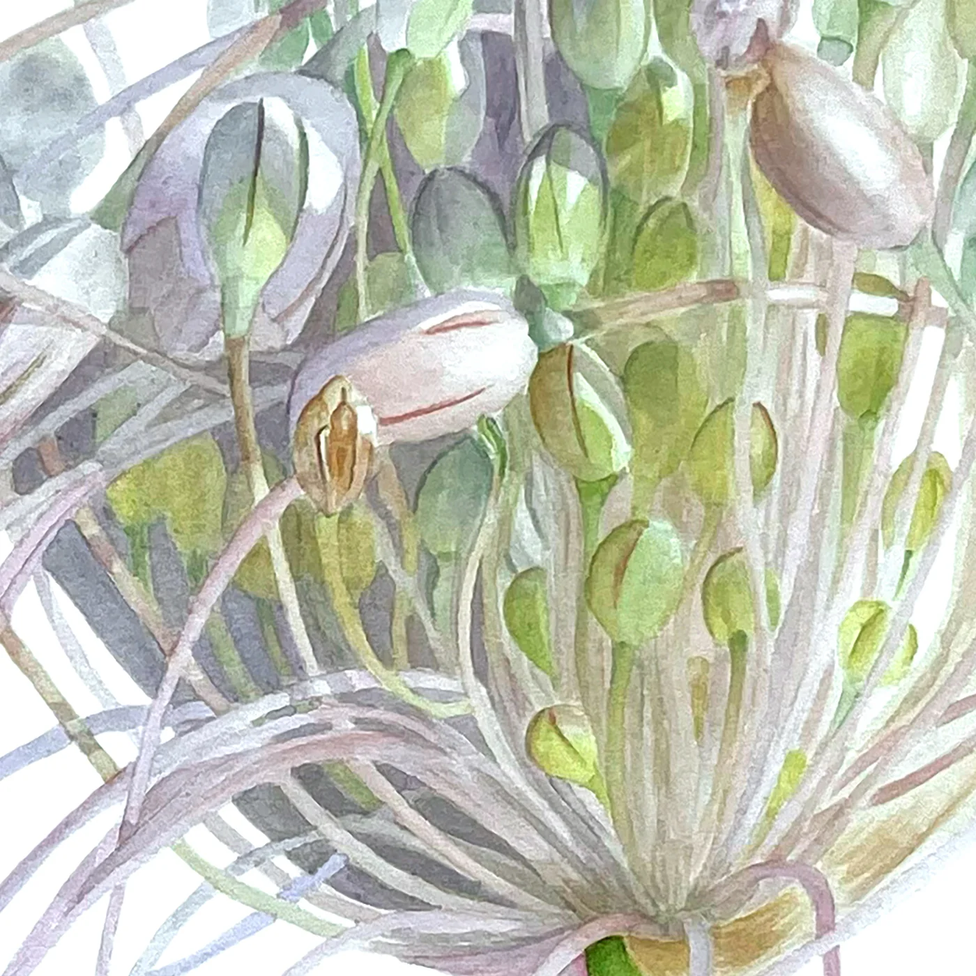Detail 1 from Sun Glare