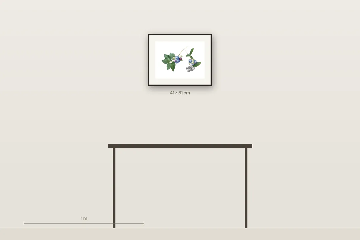 Rainbow Harvest shown to scale above a 120 cm console