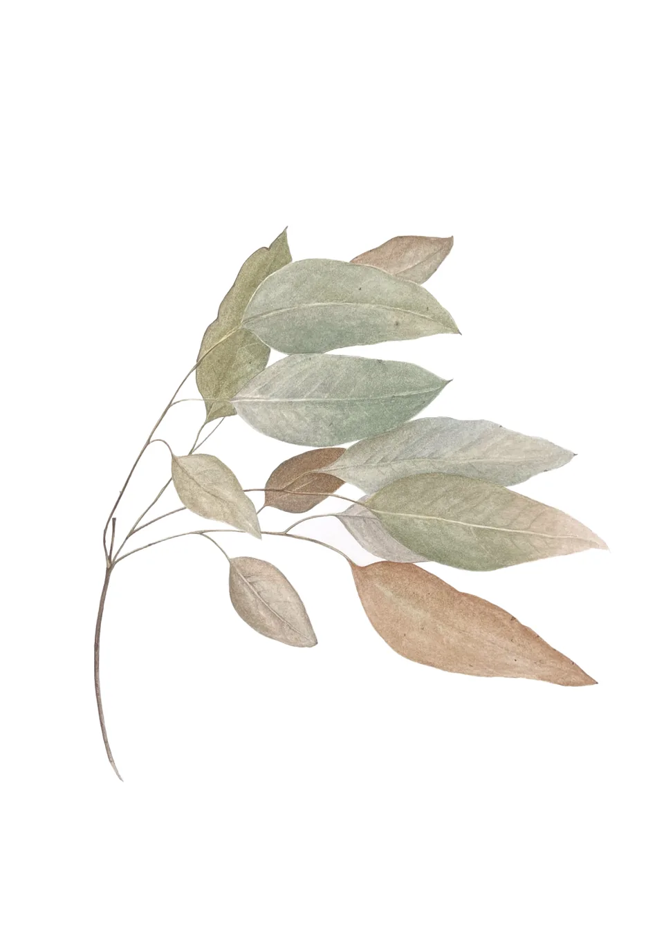 Whispering of Autumn, aquarelle on 100% cotton paper, 2024